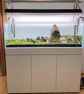 (Category: ) located in . Submitted by aquaticstore (Listing ID 1240269552, Image 1). Description: .