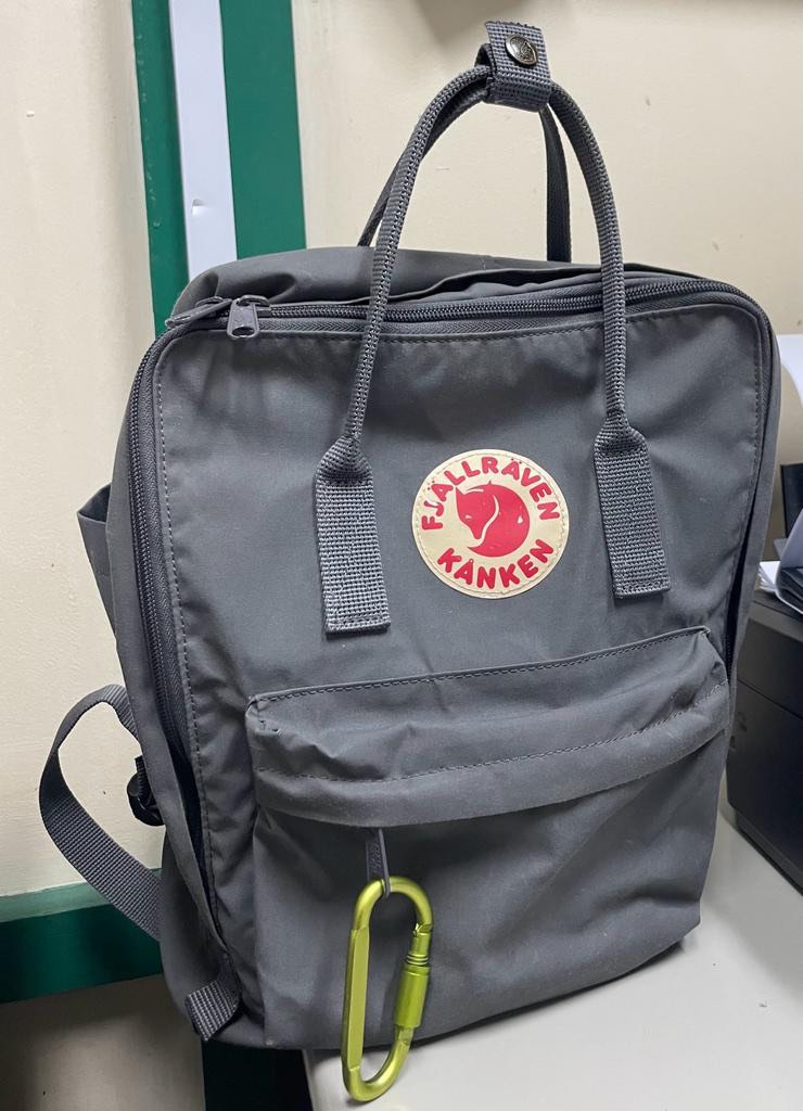 Fjallraven Kanken Classic on Carousell