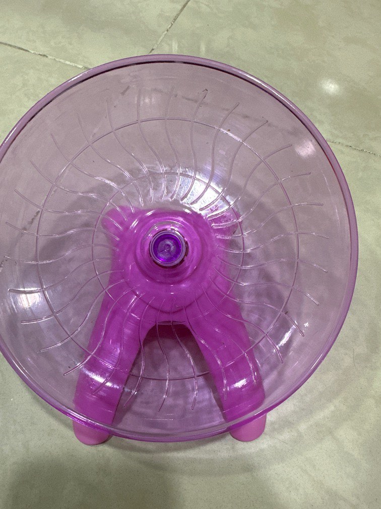 Hamster wheel, Pet Supplies, Homes & Other Pet Accessories on Carousell