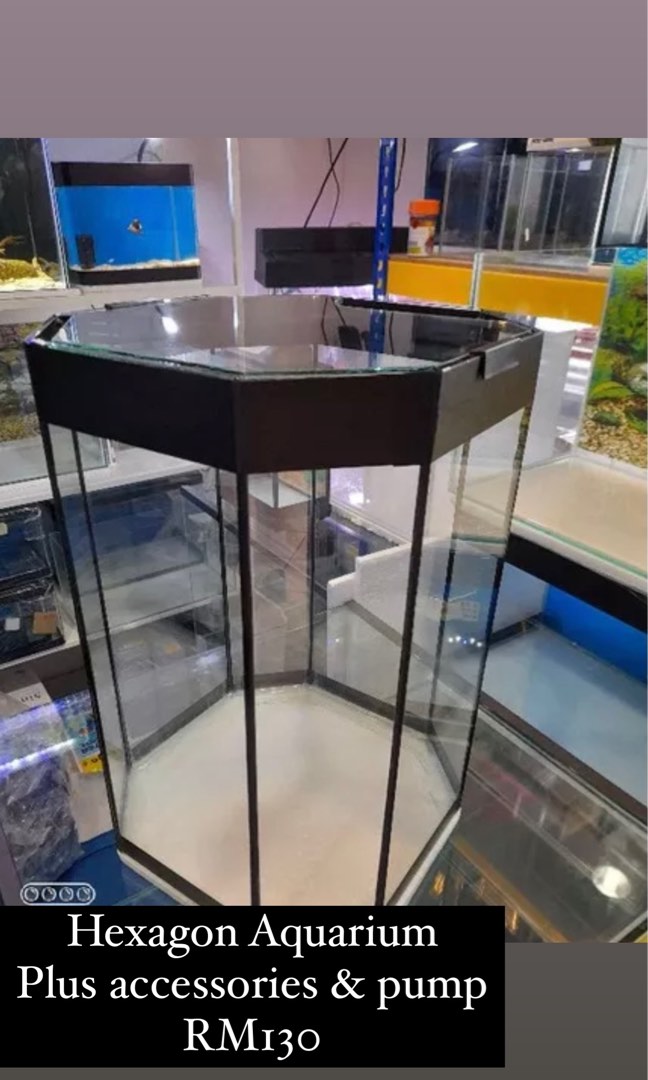Hexagon Aquarium, Pet Supplies, Homes & Other Pet Accessories on Carousell