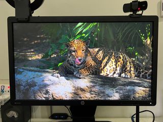 (Category: ) located in . Submitted by redhastudio (Listing ID 1240322826, Image 1). Description: .