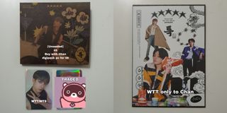Stray Kids Member Felix (Lee Yongbok) Photocards (Set of 16) + 2 Free  Stickers