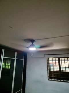 (Category: ) located in . Submitted by shiraz (Listing ID 1235558644, Image 1). Description: .
