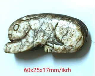 高古玉兔 ikrh