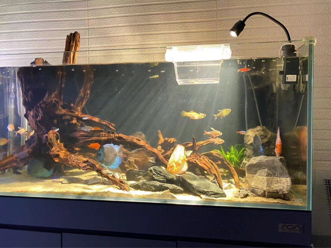 【引取限定】ADA水槽　120×50×50水槽台セット 引取限定】ADA水槽 120×50×50水槽台セット