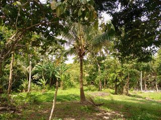 Agricultural farm lot for sale near Tagaytay good for retirement home