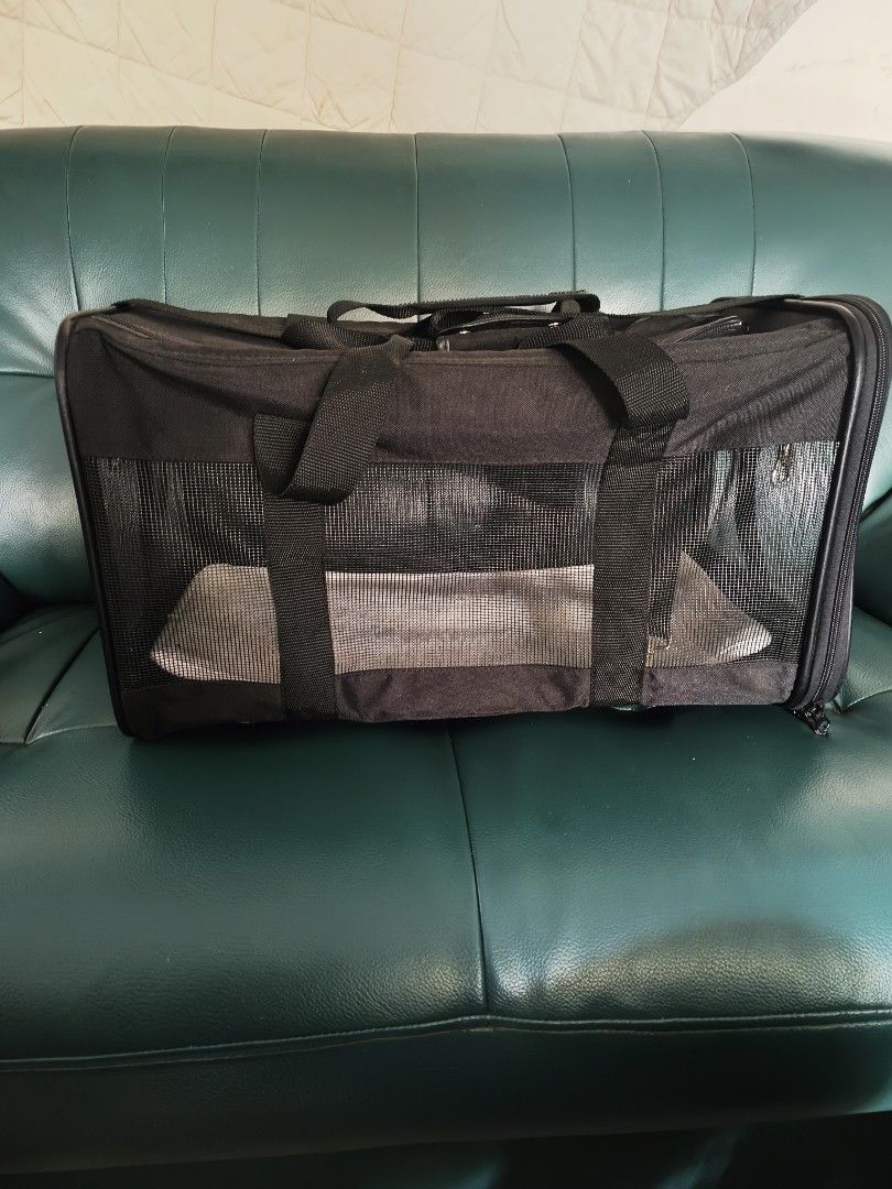 Amazonbasics pet carrier on Carousell