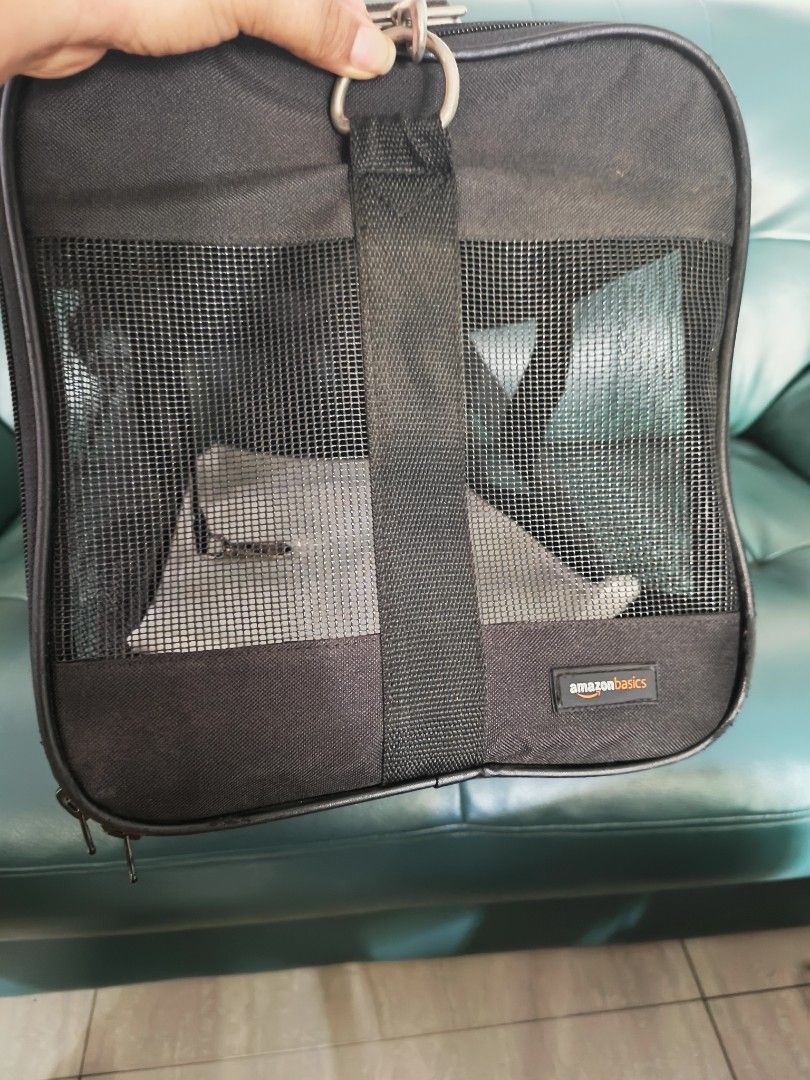 Amazonbasics pet carrier on Carousell