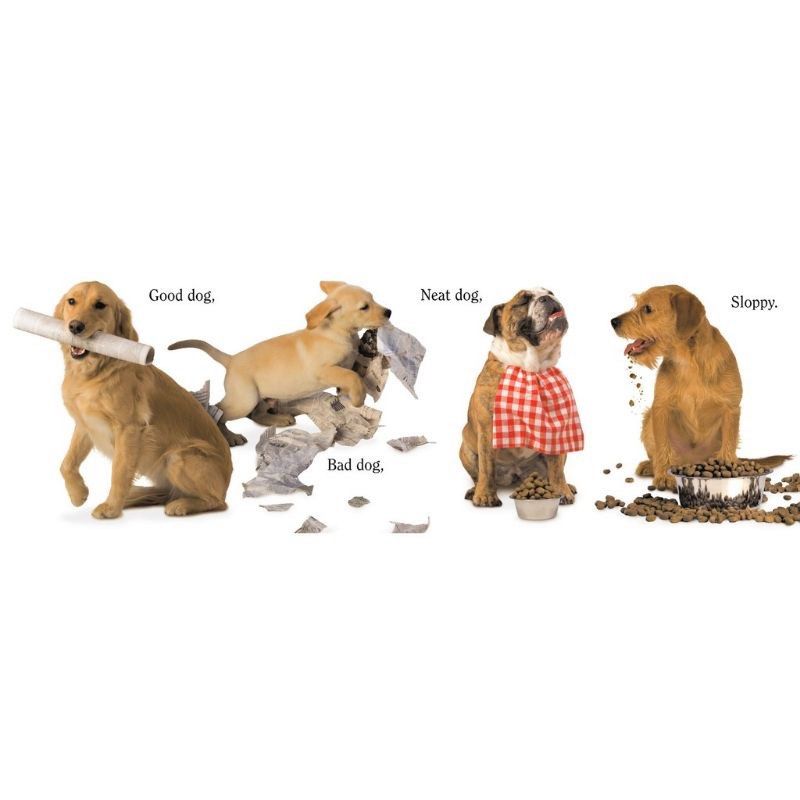 BIG BAD WOLF BBW POP UP BOOK DOG MATTHEW VAN FLEET on Carousell