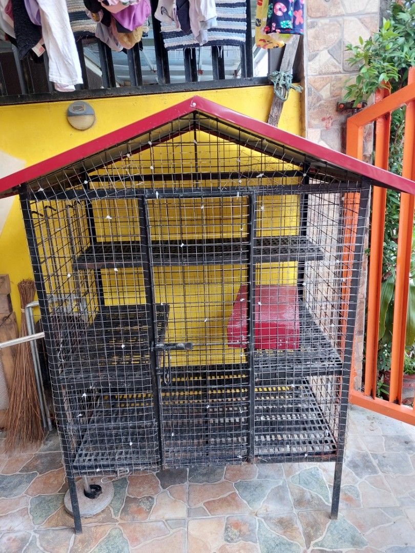 Olx cat cage discount