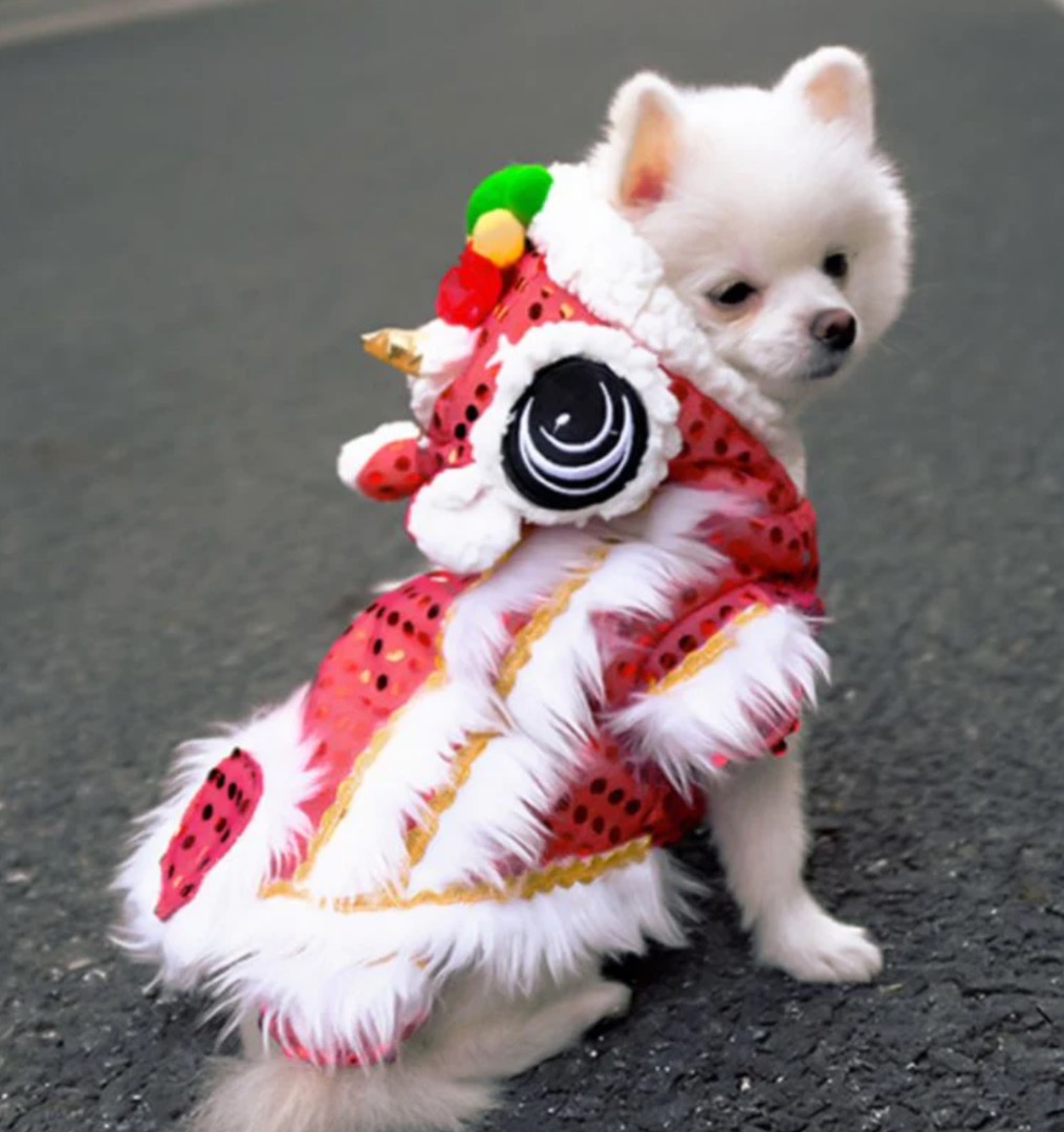 Chinese dog outfit cheap