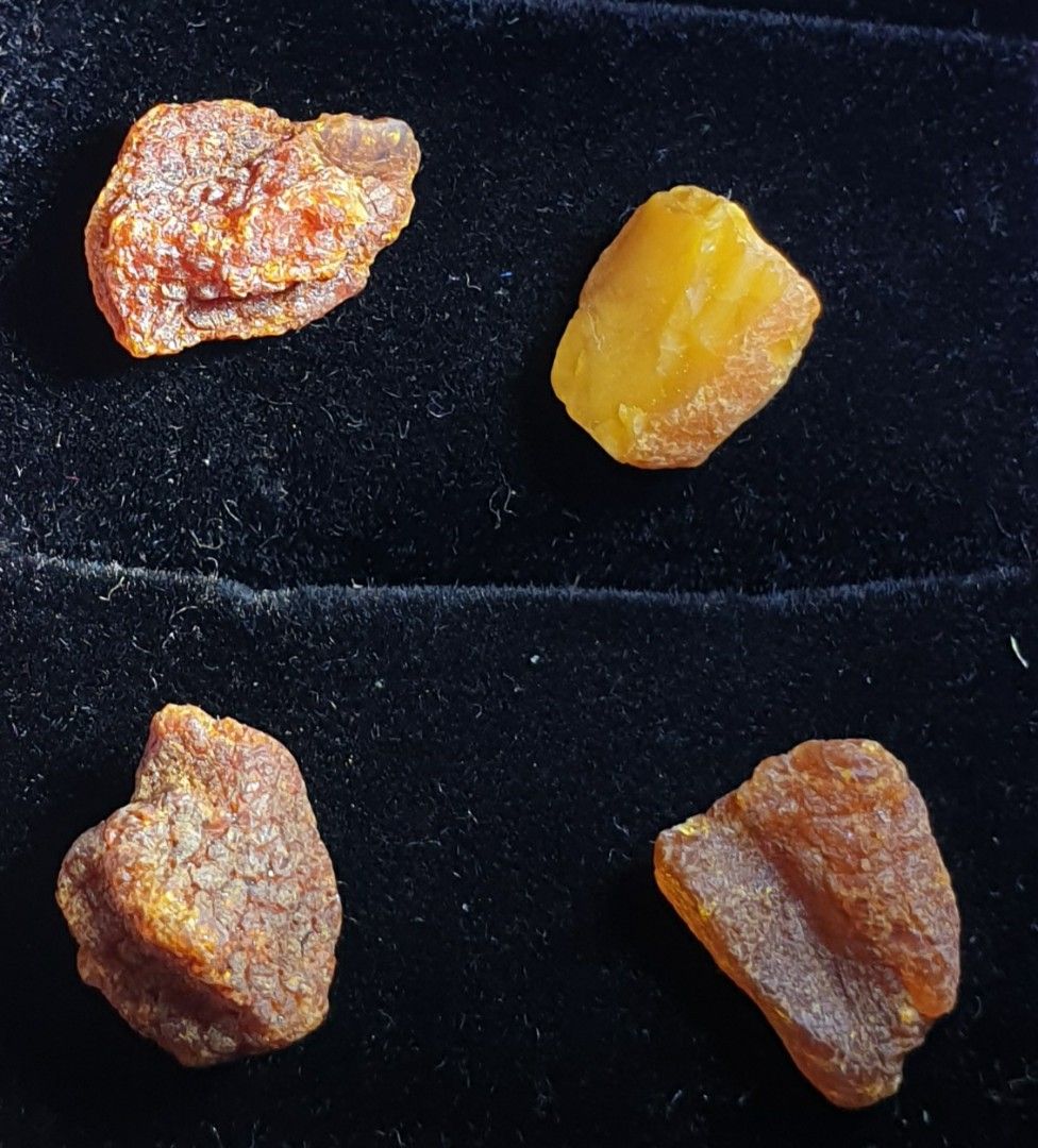 Raw online baltic amber