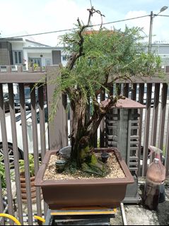 (Category: ) located in . Submitted by thedecodrop (Listing ID 1235545871, Image 1). Description: .