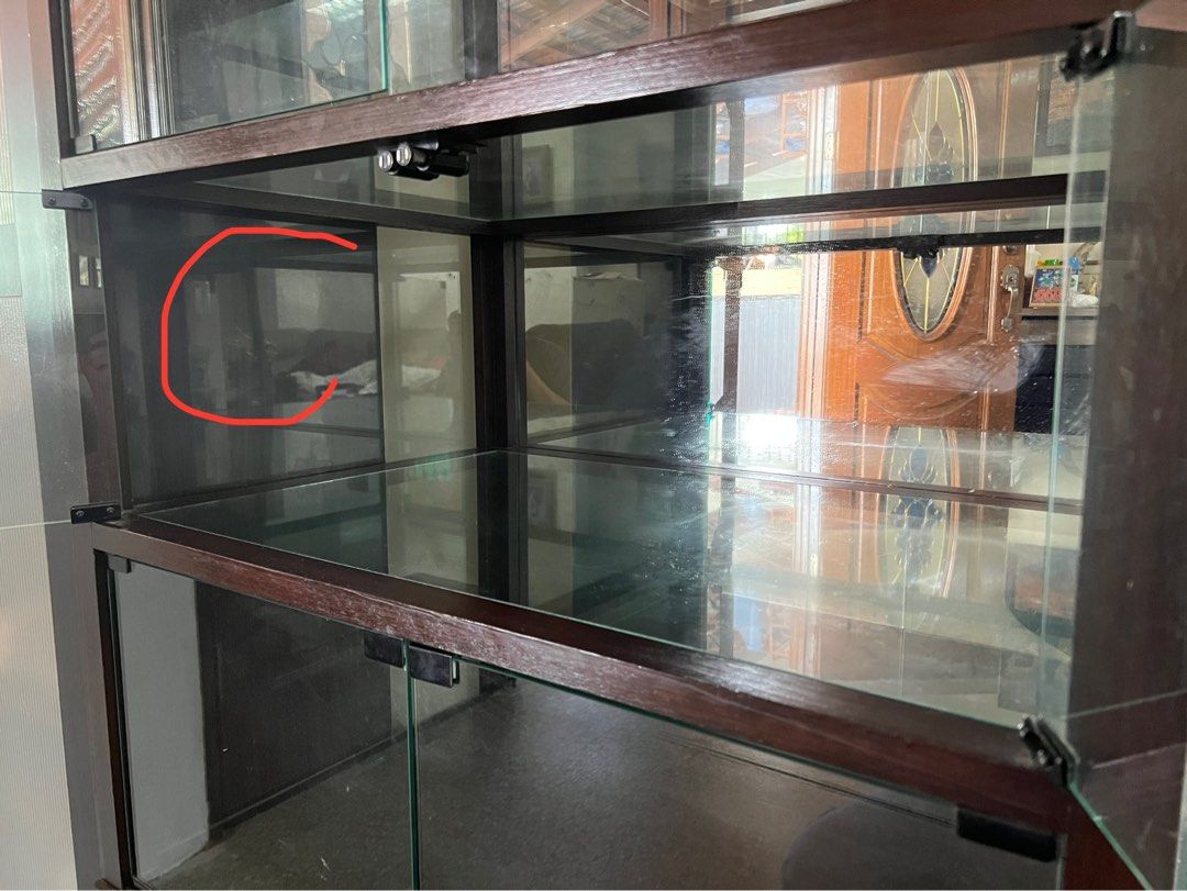 Custom made glass for display Hot Toys (Teakwood Alamari