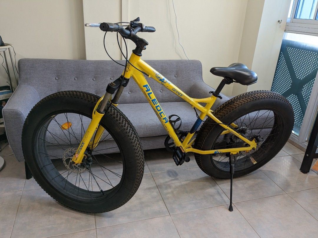 Aleoca deals fat bike