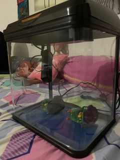 (Category: ) located in . Submitted by vikramgill1981 (Listing ID 1235661410, Image 1). Description: .