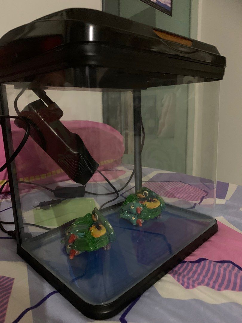 Fish Aquarium - 12” (1 sqft), Pet Supplies, Homes & Other Pet ...