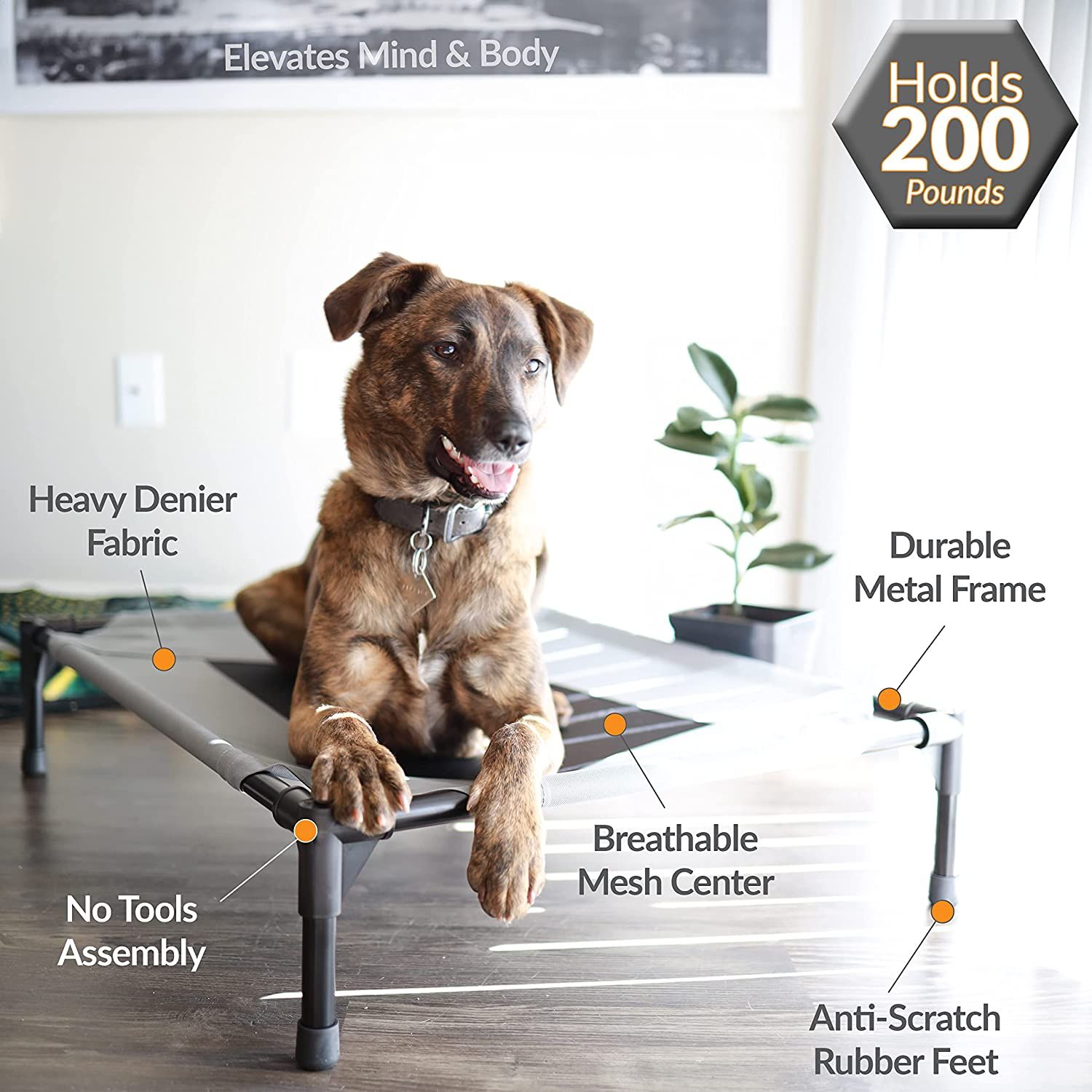 Elevated dog cot bed sales