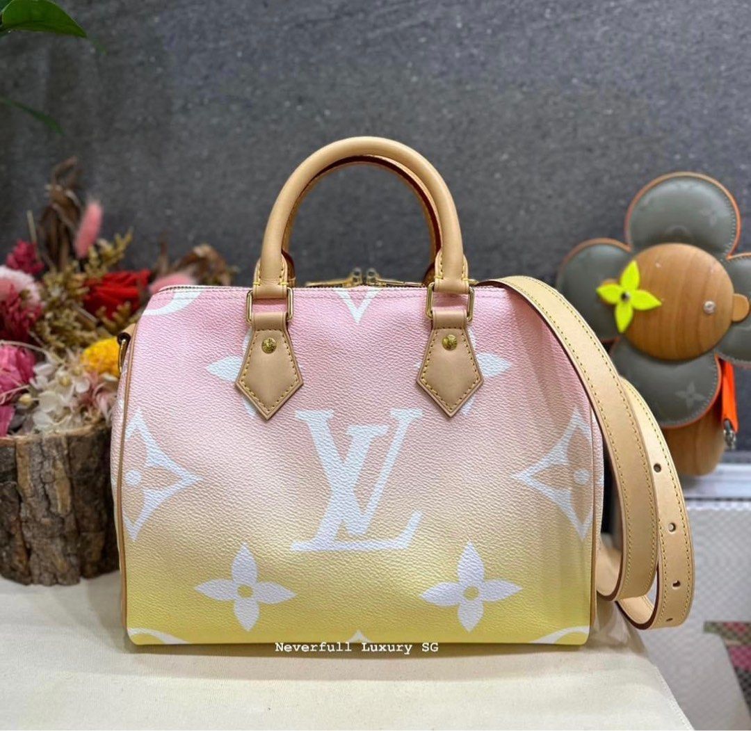 Ua louis vuitton bag outlet