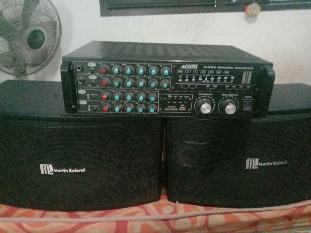 System Martin Roland Martin Roland Speakers/AdlerPro Mixing Amplifier, Audio, Soundbars ...