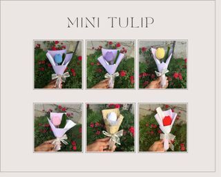Onhand Mini Tulip Bouquet with box and Free letter or greeting Card