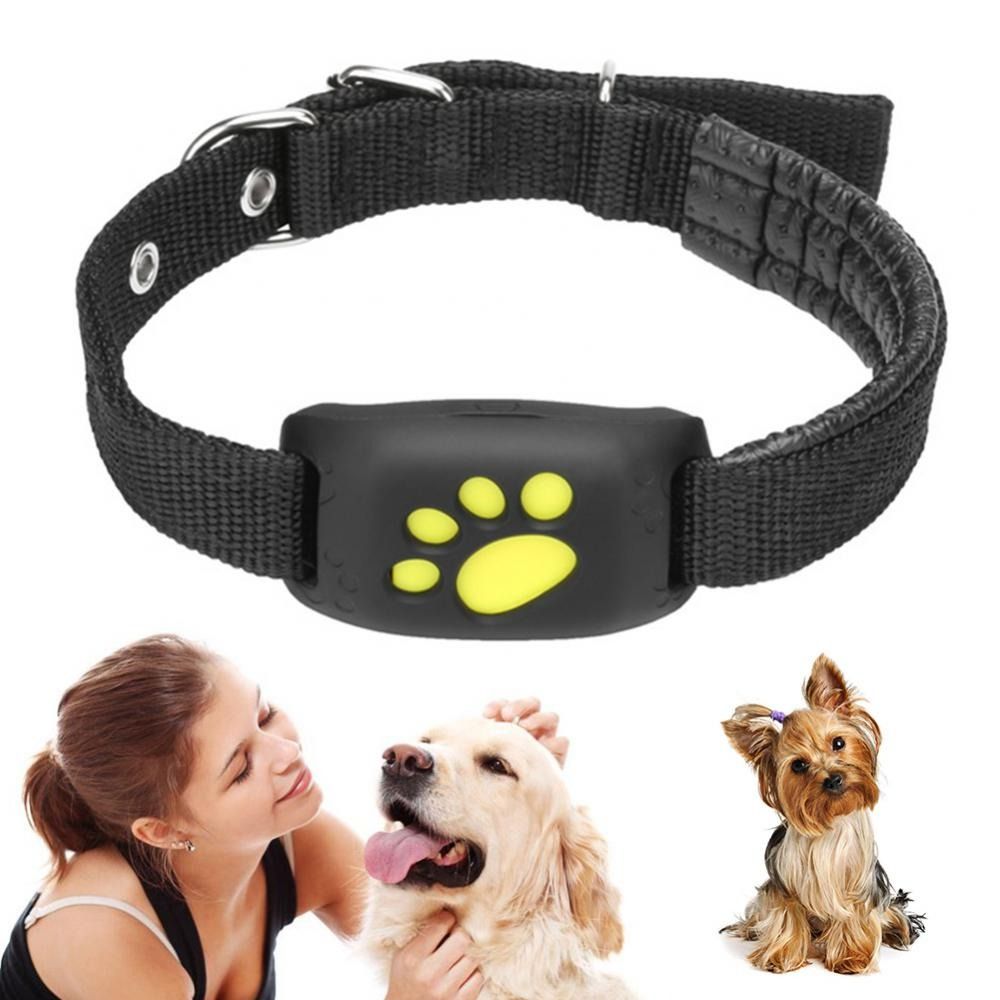Smart gps dog collar outlet