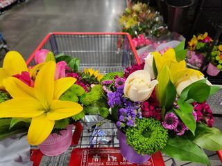 Test