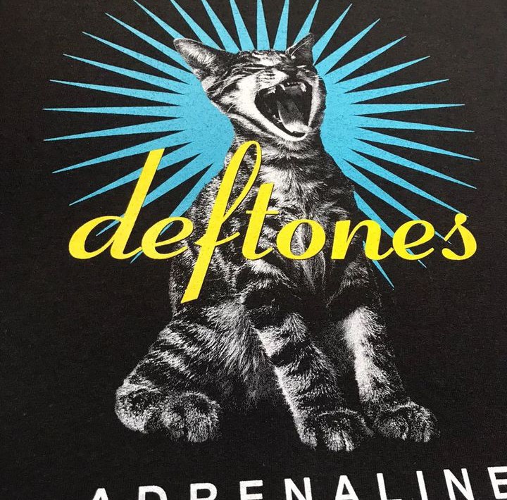 Ts Deftones On Carousell