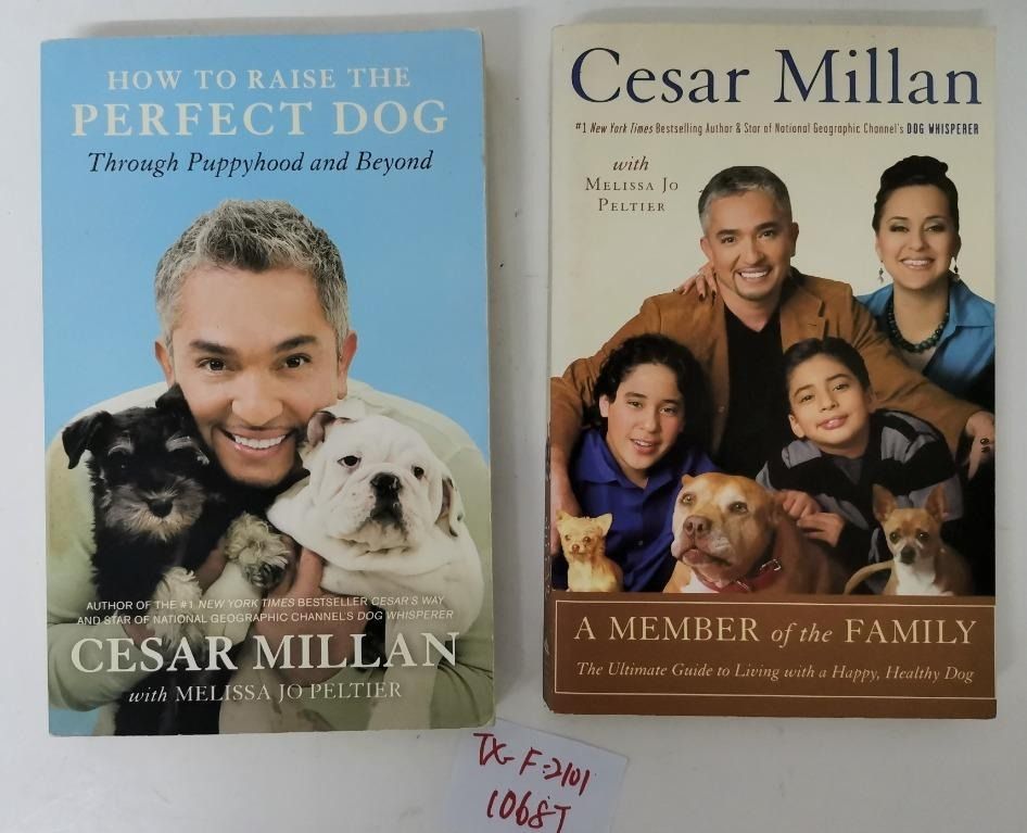 2 IN 1 Bundle Preloved Non Fiction Cesar Millan Books How To