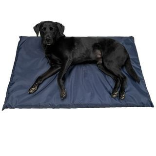 [3465] Foldable Velvet Dog Bed removable zip-fastened pet mattress for dogs, cats puppies. Washable (Light Blue)