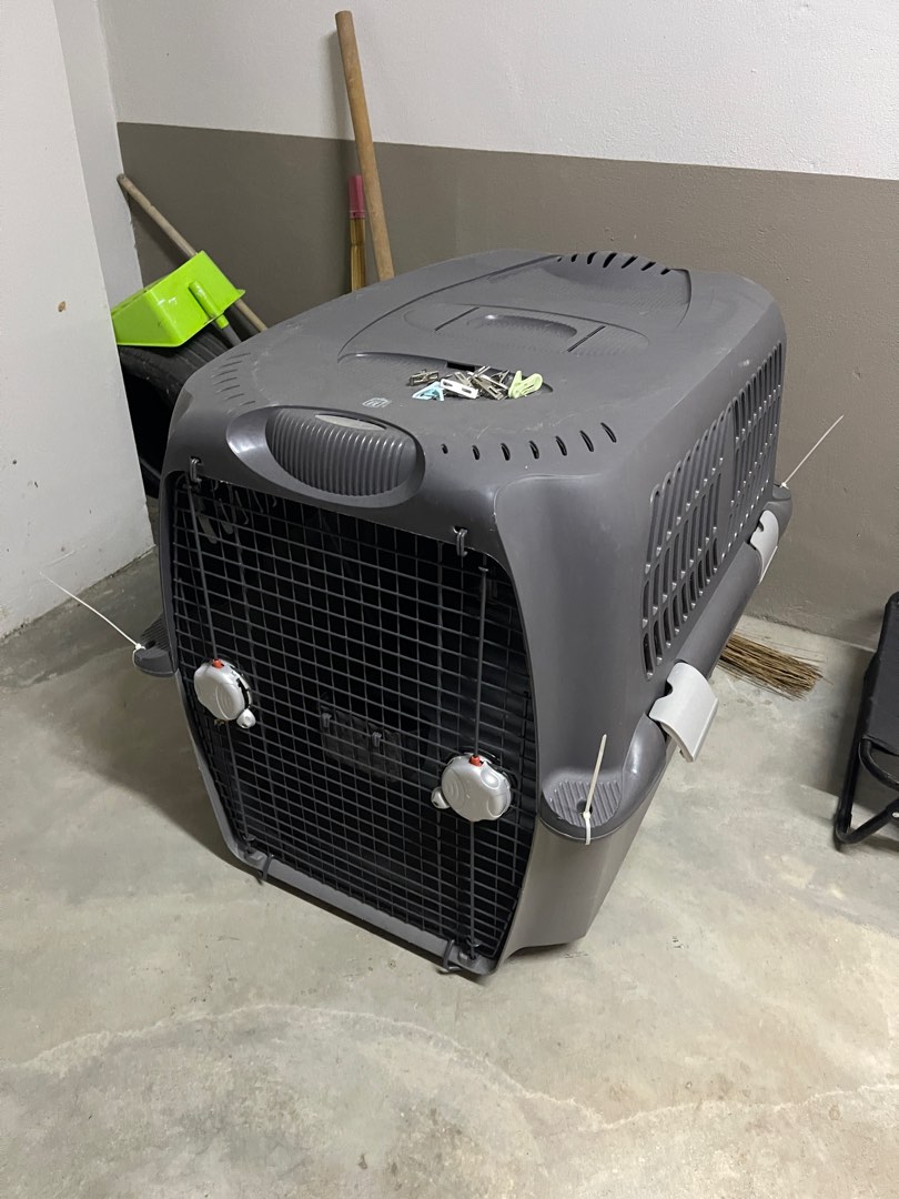Airline approved dog crate XL, Pet Supplies, Homes & Other Pet