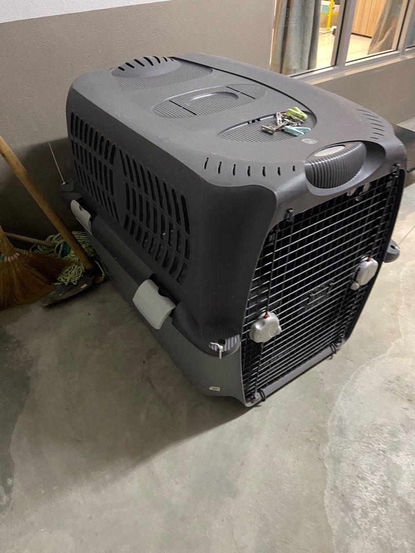 Airline approved dog crate XL, Pet Supplies, Homes & Other Pet