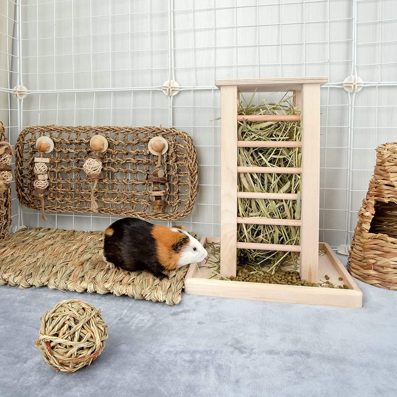 Guinea pig self feeder sales