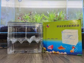 AQUARIUM FISH ISOLATION BOX SMALL AND LARGE (NOT AQUARIUM)