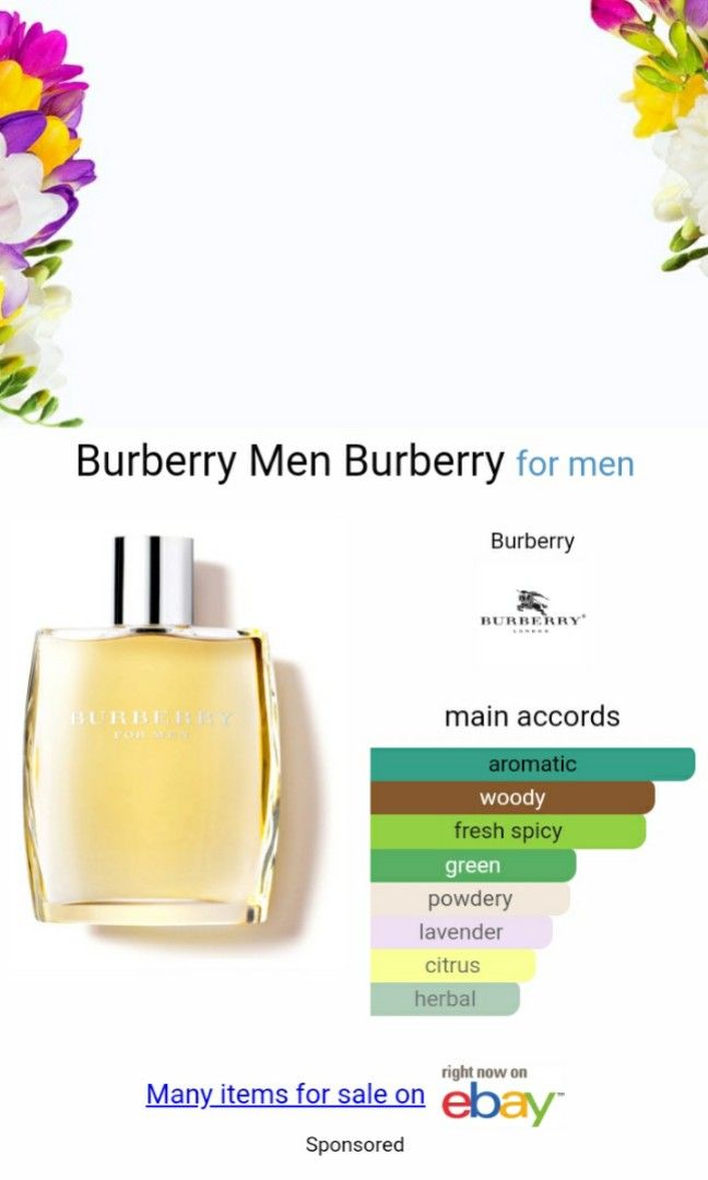 (AWET) burberry classic men