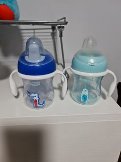 Chico Training Sippy Cups