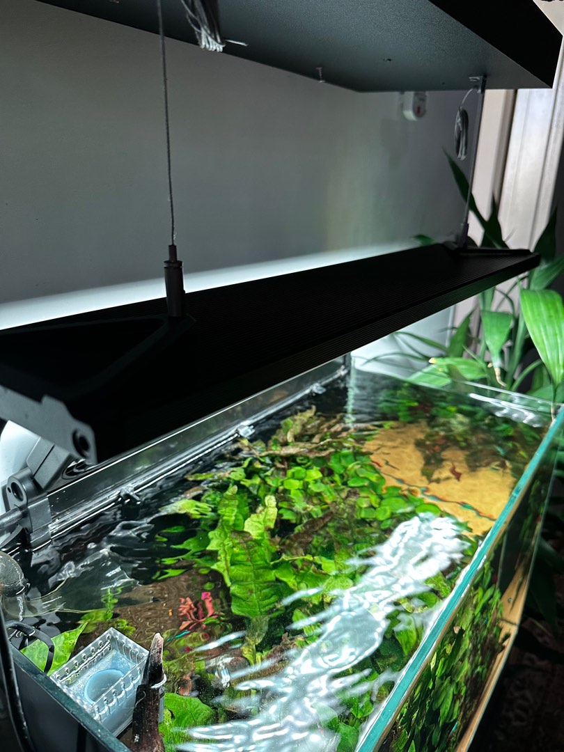 Chihiros WRGB II Slim, Pet Supplies, Homes & Other Pet Accessories on ...