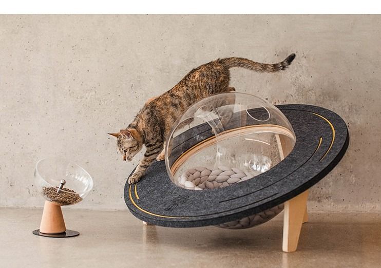 Ufo cat bed sale