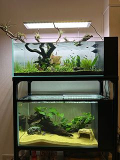 Fish Tank Custom Made Crystal Clear Glass