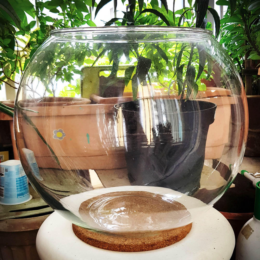 Large Glass Fish Bowl, Pet Supplies, Homes & Other Pet Accessories on