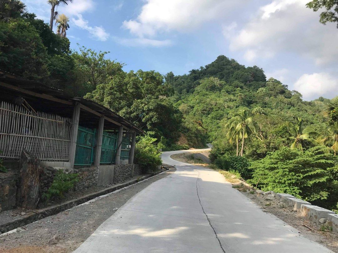 LOT FOR SALE IN LOBO,Batangas on Carousell