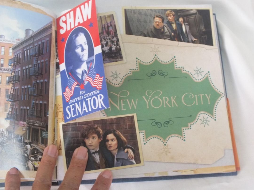 Newt Scamander (A Movie Scrapbook), Hobbies & Toys, Books & Magazines