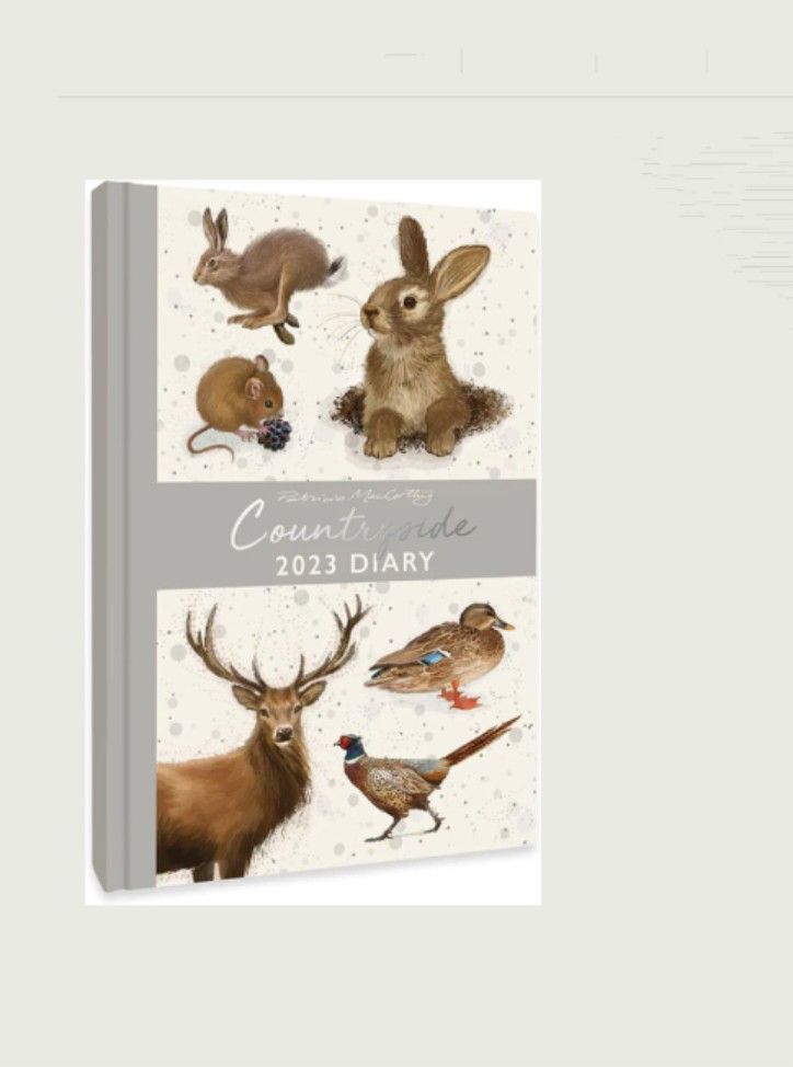 National Parks 2025 Desk Calendar – Idlewild Co - View #9