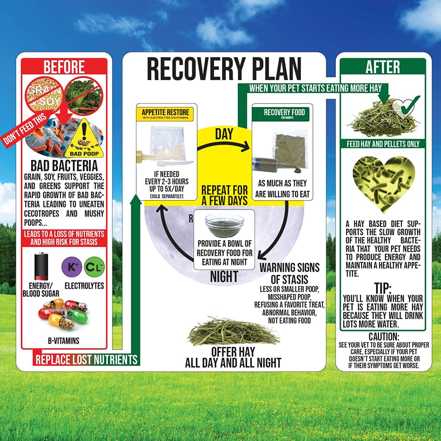 Guinea pig emergency kit sales