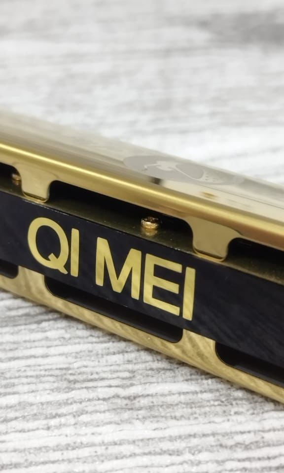 Qi Mei 24 Hole Tremolo Harmonica 24 Hole Stainless Steel Instrument