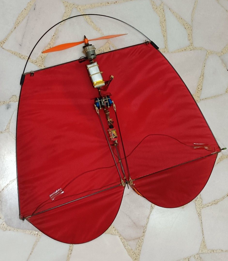 Remote control flying kite, Hobbies & Toys, Toys & Games on Carousell