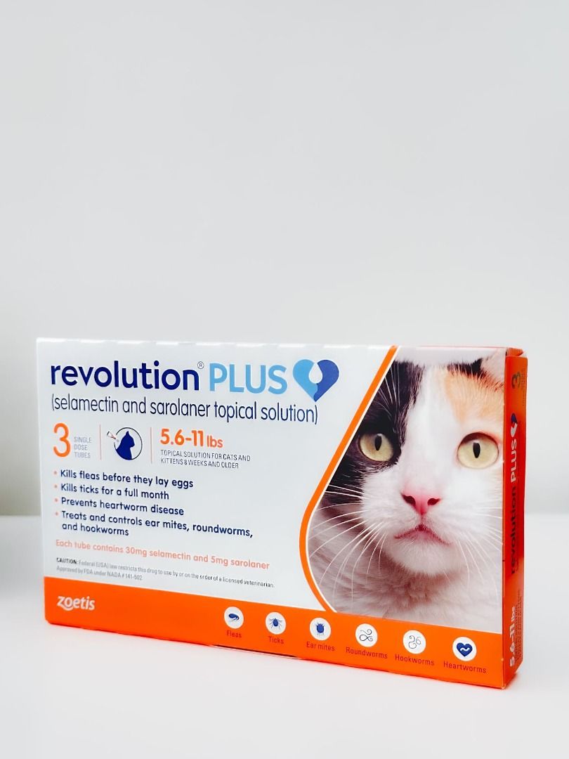 Revolution plus cat orange top