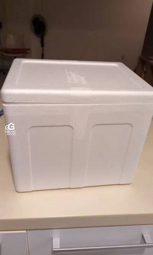 Styrofoam ice box with ice packs, Everything Else on Carousell