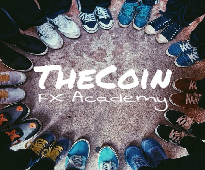The Coin FX Academy FULL COURSE ALL VIDEOS Hobbies Toys