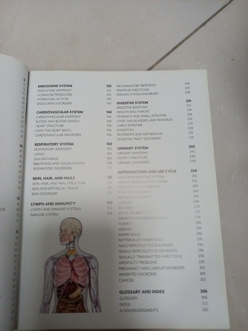 The concise human body book, Hobbies & Toys, Books & Magazines ...